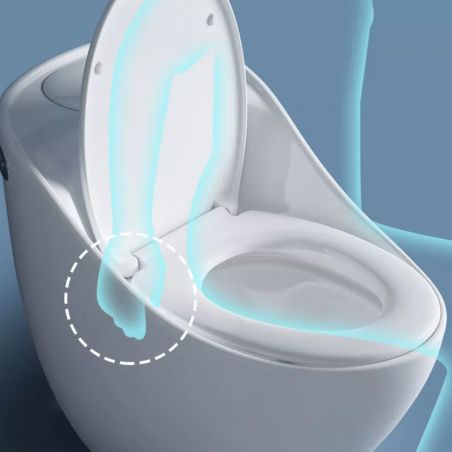 Santa Rimless WC, 69x46 cm, Einbautank, Weiß, Bodenmontage, Soft-Close-Deckel inklusive, Lizenzlinie von Ego