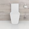 Toilettenschüssel EGO Dario, Rimless, Tank inklusive, 2-St., Weiß glänzend, Bodenmontage, Duroplast Slim Soft-Close-Deckel inkl.