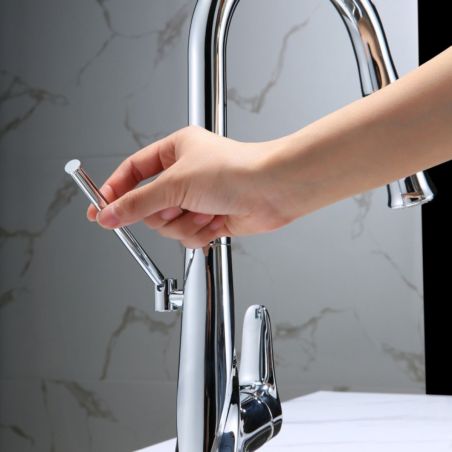 Küchenarmatur, inkl. Halterung, ausziehbare Brause , 2 Strahlarten, flexibler und 360° schwenkbarer Auslauf, Chrom, Tomis