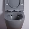 Wandhängendes WC, Mattgrau, Power Color, Rimless, 49x37 cm, Duroplast-Deckel, Sanitärkeramik, Ben