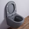 Wandhängendes WC, Mattgrau, Power Color, Rimless, 49x37 cm, Duroplast-Deckel, Sanitärkeramik, Ben