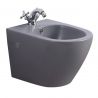 Bidet, Mattgrau, Power Colour, 49x36 cm, Wandmontage, Sanitärkeramik, Ben