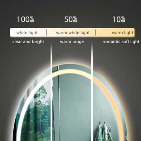 LED-Spiegel, Anti-Beschlag und Touch-Taste, 3 Lichtfarben, Einstellbare Helligkeit, Maße 50-75x70-100 cm, Fiesta