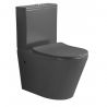 Randlose Toilettenschüssel, Tank inklusive, 2 Stück, Mattgrau, Bodenmontage, schlanker Soft-Close-Deckel aus Duroplast, Dario