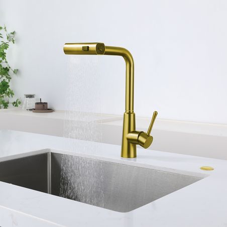 Küchenarmatur, ausziehbare Brause, 3 Sprüharten, 360° schwenkbarer Auslauf, mit Perlator, Edelstahl, Mattgold, Safari