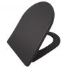 Duroplast-Deckel mit Soft-Close für WC-Becken Ben Mattschwarz