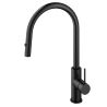 Küchenarmatur, Edelstahl, 360° schwenkbarer Auslauf, 2 Strahlarten, Mattschwarz, Amato
