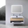 Badezimmermöbel, 120 x 55 cm, Schichtholz, 2 Soft-Close-Schubladen, Stauraum, Riviera