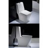WC Enrico, SifonFlush, Weiß, 67x36 cm, Tank inklusive, Bodenmontage, Abdeckung mit Soft-Close inklusive