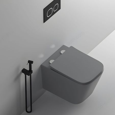 Toilettenschüssel, Rimless, Mattgrau, Power Colour, Wandmontage, inkl. Slim-Duroplast-Sitz mit Soft-Close, Alfonso