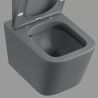 Toilettenschüssel, Rimless, Mattgrau, Power Colour, Wandmontage, inkl. Slim-Duroplast-Sitz mit Soft-Close, Alfonso
