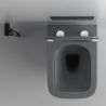 Toilettenschüssel, Rimless, Mattgrau, Power Colour, Wandmontage, inkl. Slim-Duroplast-Sitz mit Soft-Close, Alfonso