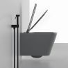 Toilettenschüssel, Rimless, Mattgrau, Power Colour, Wandmontage, inkl. Slim-Duroplast-Sitz mit Soft-Close, Alfonso