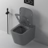 Toilettenschüssel, Rimless, Mattgrau, Power Colour, Wandmontage, inkl. Slim-Duroplast-Sitz mit Soft-Close, Alfonso