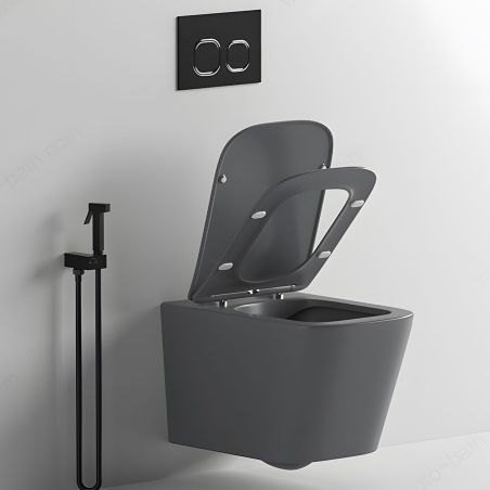 Toilettenschüssel, Rimless, Mattgrau, Power Colour, Wandmontage, inkl. Slim-Duroplast-Sitz mit Soft-Close, Alfonso