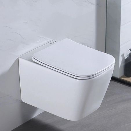 Slim-Deckel aus Duroplast mit Soft-Close-Funktion, einstellbarem Abstand, Quick Release, für Toilettenschüssel Alfonso Alb