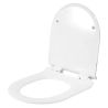 Duroplast Slim WC-Sitz, Soft-Close, verstellbarem Abstand, Quick Release, für WC-Becken Ben Marmor
