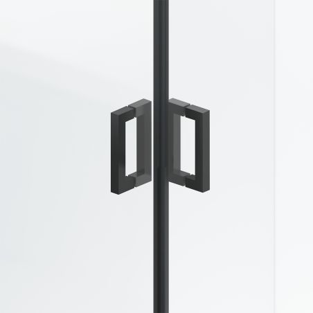 Duschkabine, Sicherheitsglas 6 mm, Transparent, Schwarz, 2 Pendeltüren, Maße: 80–90×120 cm, Axis