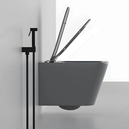 Slim-Deckel aus Duroplast mit Soft-Close-Funktion, einstellbarem Abstand, Quick Release, für Toilettenschüssel Alfonso Grau Matt