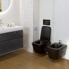 Bidet Alfonso, Mattschwarz, Power Colour, 52x35cm, Wandmontage, mit Überlauf
