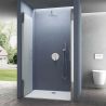 Duschtür EGO-24D, 6 mm Sicherheitsglas, sandgestrahlt, 180°-Öffnung, Maße 100 x 195 cm, Nano-Easy-Clean-Beschichtung
