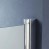 Duschtür EGO-24D, 6 mm Sicherheitsglas, sandgestrahlt, 180°-Öffnung, Maße 100 x 195 cm, Nano-Easy-Clean-Beschichtung