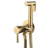 Hygienedusche, Warm- und Kaltwasser, Goldfarben, Matt, Wandmontage, Messing, Neo