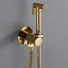 Hygienedusche, Warm- und Kaltwasser, Goldfarben, Matt, Wandmontage, Messing, Neo
