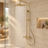 Duschsystem, Mattgold, Wandmontage, 2 Funktionen, Regendusche, Handbrause, Edelstahl, Fino