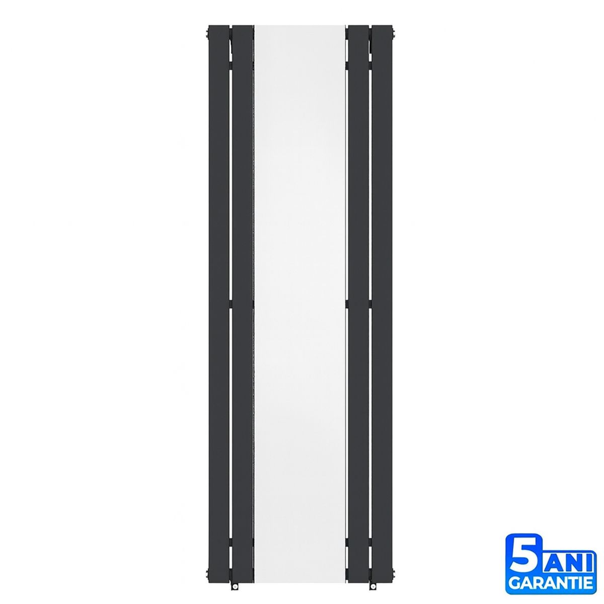 Dekorativer Heizkörper aus Stahl mit Spiegel, Anthrazit, 4 Elemente, 593 W, 180x60 cm, Malvina